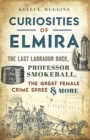 Curiosities of Elmira : The Last Labrador Duck, Professor Smokeball, the Great Female Crime Spree & More - eBook