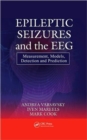 Epileptic Seizures and the EEG : Measurement, Models, Detection and Prediction - Book