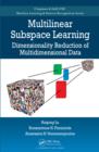 Multilinear Subspace Learning : Dimensionality Reduction of Multidimensional Data - eBook