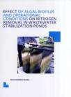 Effect of Algal Biofilm and Operational Conditions on Nitrogen Removal in Waste Stabilization Ponds : UNESCO-IHE PhD Thesis - eBook