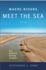 Where Rivers Meet the Sea : The Political Ecology of Water - eBook