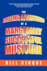 The Amazing Adventures of a Marginally Successful Musician - Book