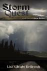 Storm Quest : Book 9 in the Quest Series - Book