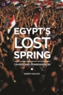 Egypt's Lost Spring : Causes and Consequences - eBook