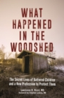 What Happened in the Woodshed : The Secret Lives of Battered Children and a New Profession to Protect Them - Book