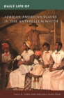 Daily Life of African American Slaves in the Antebellum South - Book