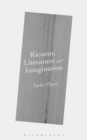 Ricoeur, Literature and Imagination - eBook