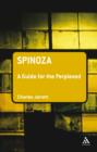 Spinoza: A Guide for the Perplexed - eBook