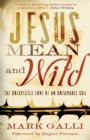 Jesus Mean and Wild : The Unexpected Love of an Untamable God - eBook