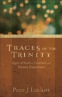 Traces of the Trinity : Signs of God in Creation and Human Experience - eBook