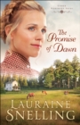 The Promise of Dawn (Under Northern Skies Book #1) - eBook