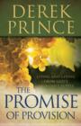 The Promise of Provision : Living and Giving from God's Abundant Supply - eBook