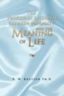The Profound Interplay Between Morality and the Meaning of Life - Book
