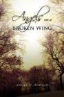 Angels on a Broken Wing - Book