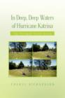 In Deep, Deep Waters of Hurricane Katrina - Book