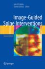 Image-Guided Spine Interventions - Book
