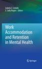 Work Accommodation and Retention in Mental Health - eBook