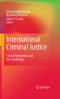 International Criminal Justice : Critical Perspectives and New Challenges - eBook