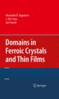 Domains in Ferroic Crystals and Thin Films - eBook