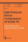 High-Pressure Shock Compression of Solids VII : Shock Waves and Extreme States of Matter - Book