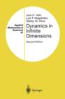 Dynamics in Infinite Dimensions - Book