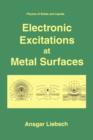 Electronic Excitations at Metal Surfaces - Book