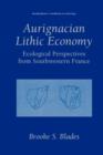 Aurignacian Lithic Economy : Ecological Perspectives from Southwestern France - Book