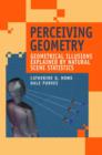 Perceiving Geometry : Geometrical Illusions Explained by Natural Scene Statistics - Book
