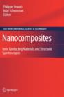 Nanocomposites : Ionic Conducting Materials and Structural Spectroscopies - Book