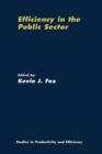 Efficiency in the Public Sector - Book