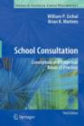 School Consultation : Conceptual and Empirical Bases of Practice - Book