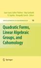 Quadratic Forms, Linear Algebraic Groups, and Cohomology - eBook