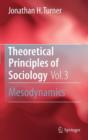 Theoretical Principles of Sociology, Volume 3 : Mesodynamics - Book