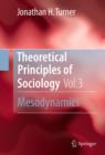 Theoretical Principles of Sociology, Volume 3 : Mesodynamics - eBook