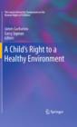 A Child's Right to a Healthy Environment - eBook