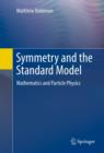 Symmetry and the Standard Model : Mathematics and Particle Physics - eBook