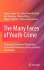 The Many Faces of Youth Crime : Contrasting Theoretical Perspectives on Juvenile Delinquency Across Countries and Cultures - Book