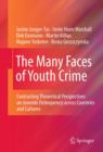 The Many Faces of Youth Crime : Contrasting Theoretical Perspectives on Juvenile Delinquency across Countries and Cultures - eBook