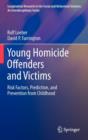 Young Homicide Offenders and Victims : Risk Factors, Prediction, and Prevention from Childhood - Book
