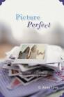 Picture Perfect - eBook