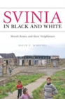 Svinia in Black and White : Slovak Roma and their Neighbours - eBook