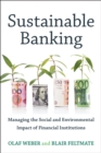 Sustainable Banking : Managing the Social and Environmental Impact of Financial Institutions - eBook