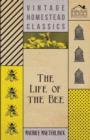 The Life Of The Bee - Book