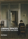 None Liminal Spaces : The Double Art of Carol Shields - eBook
