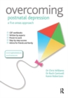 Overcoming Postnatal Depression: A Five Areas Approach - Book