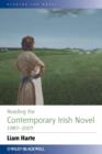 Reading the Contemporary Irish Novel 1987 - 2007 - Book