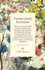 Popular Hardy Perennials - Their Cultivation in Beds, Borders, the Wild and Woodland Garden and by the Waterside : and Also Their Propagation. With Descriptions of the Most Attractive and Easily-Grown - Book