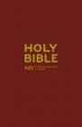 NIV Popular Burgundy Hardback Bible - Book