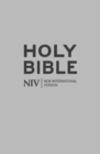 NIV Bible eBook (New International Version) - eBook