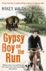 Gypsy Boy on the Run - eBook